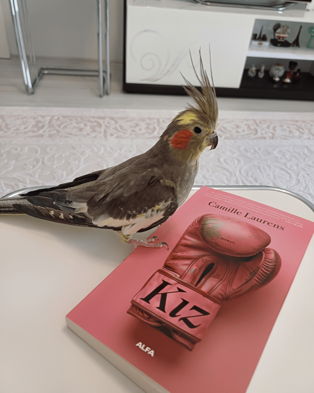 “Kız” Romanında Çeviri&nbsp;Seçimlerim